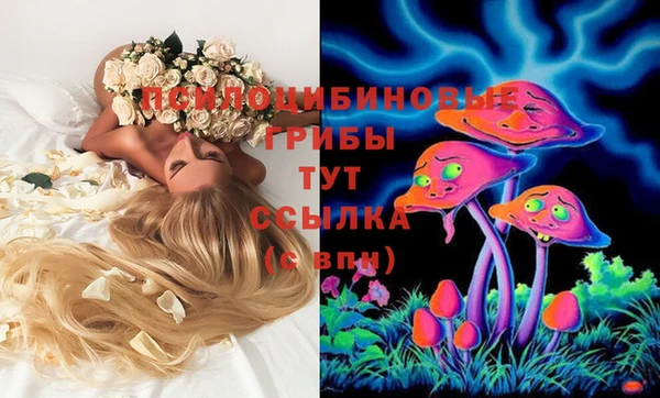 spice Армянск