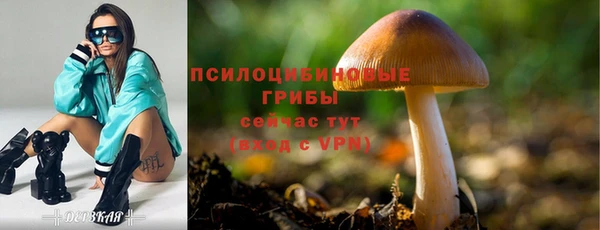 spice Армянск