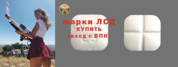 мдпв Богородск