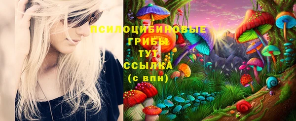 spice Армянск