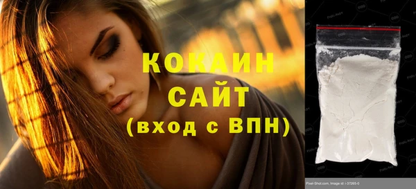 мдпв Богородск
